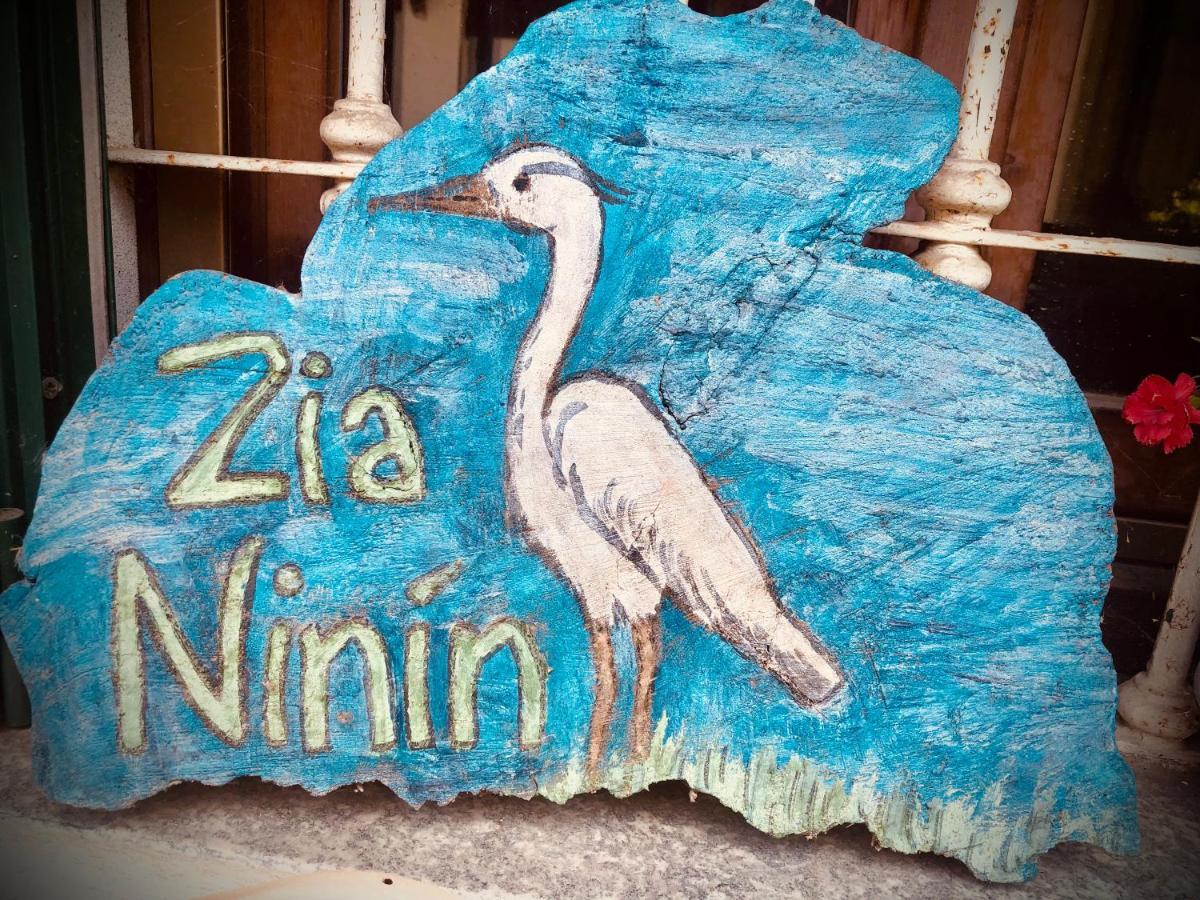 Appartamento Zia Ninin - La Gioia Di Un Tempo! Pavia Exterior photo